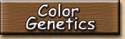 Color Genetics